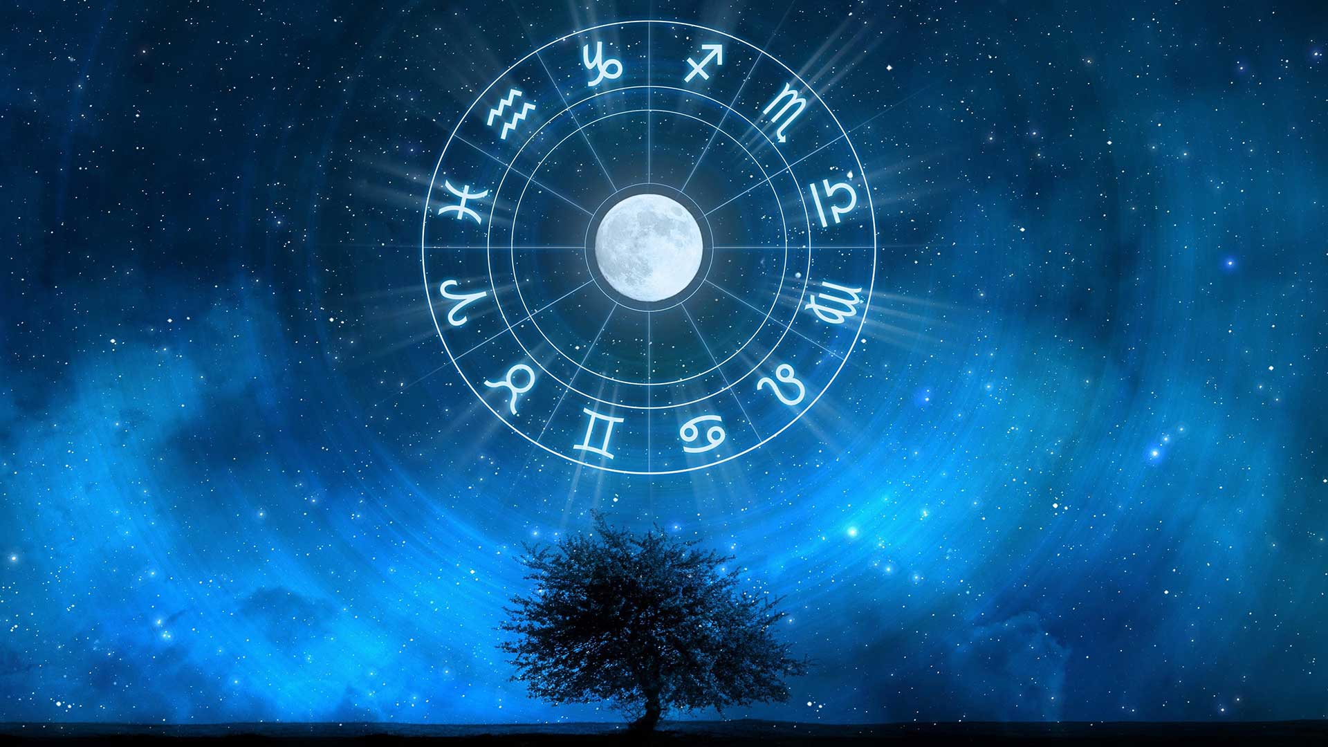 Lee más sobre el artículo Clasificaciones de los Signos